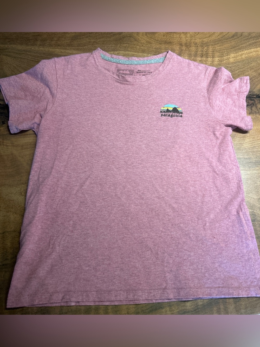 Patagonia Skyline Stencil Responsibili-Tee Shirt